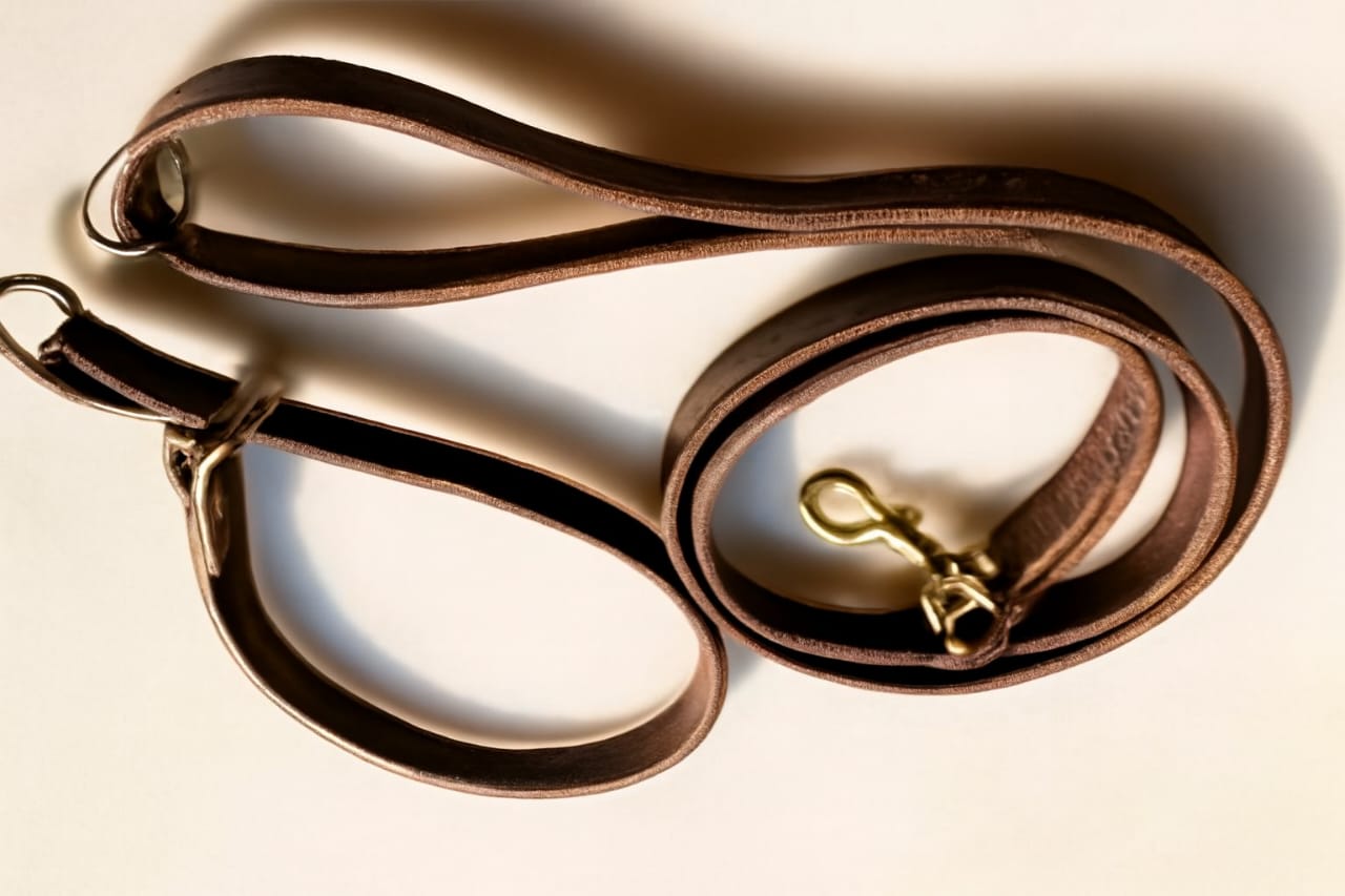 puppy Choke Leash with Collar